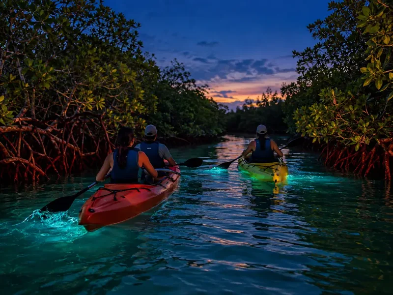 Fajardo Bio Bay Kayak Tour