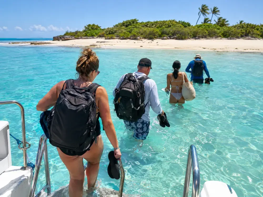 Guests climbing down a catamaran ladder to wade ashore